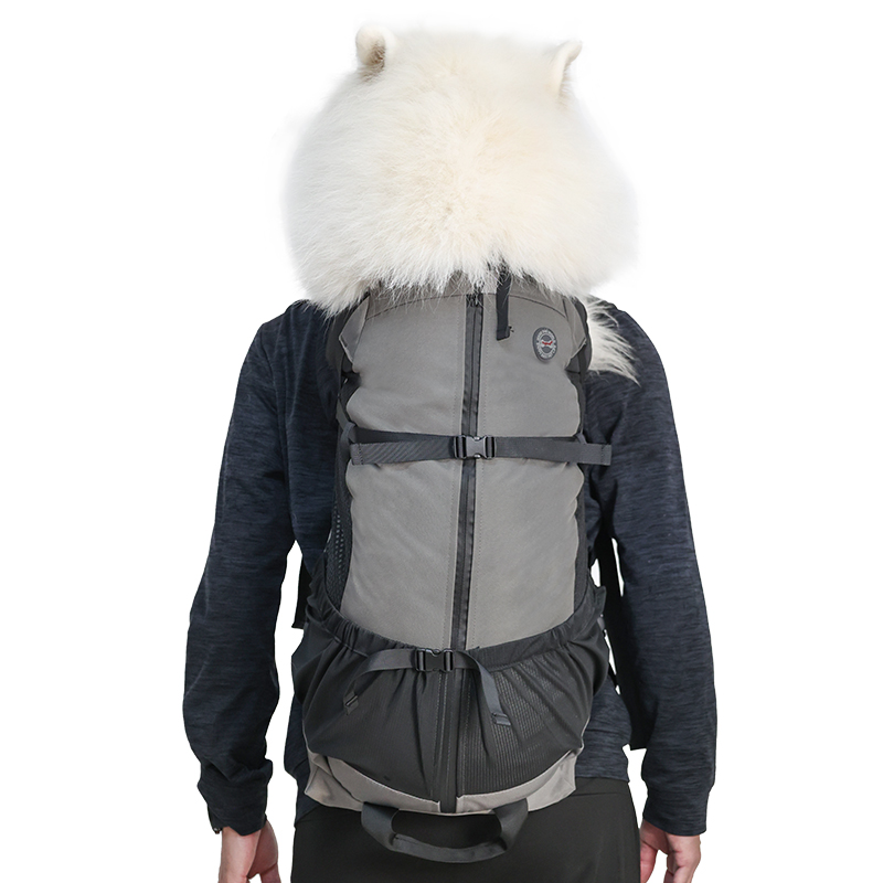 통기성 메쉬 대형견 배낭 스키 휴대 가방 야외 활동용  - Outdoor Adventure Farm 리뷰 및 가격